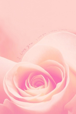 I Love You Rose