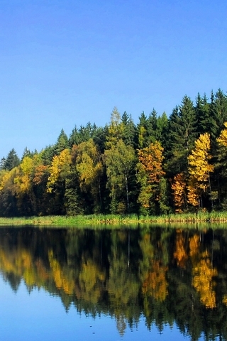 Fall-Trees-Reflection