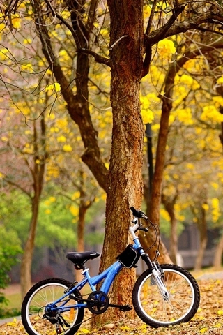 Bike-In-The-Park