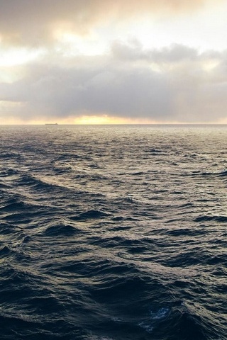 Sea Ocean
