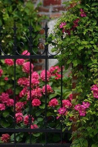Romantic Garden