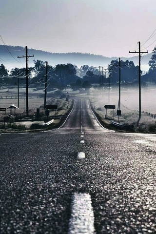 Road To Fog