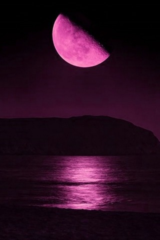 Romantic Full Moon