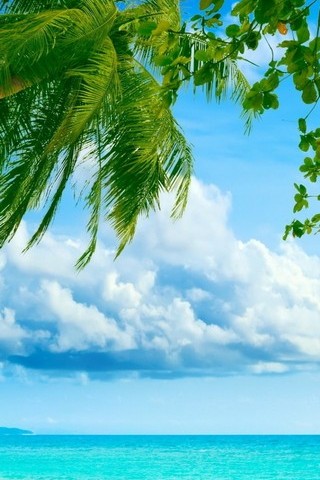 Tropisches Paradies