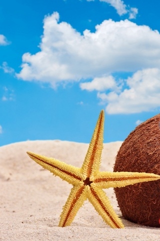 Colourful-Summer-Accessories