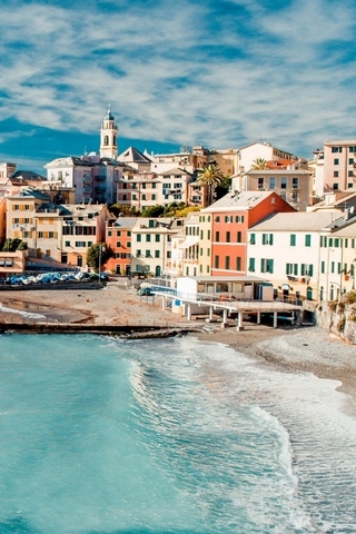 The Cinque Terre View