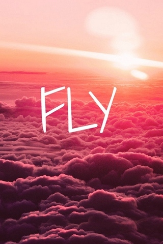 Fly High wallpaper by anfalhussainabbasi  Download on ZEDGE  119b
