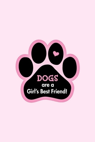 Собаки - лучший друг девушки