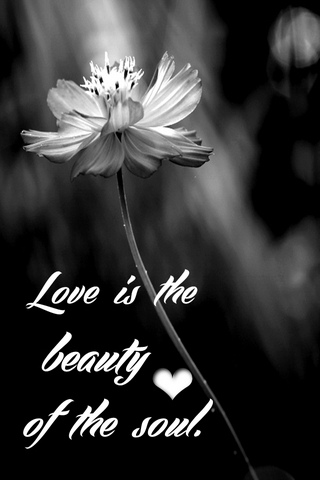 Любовь - это красота