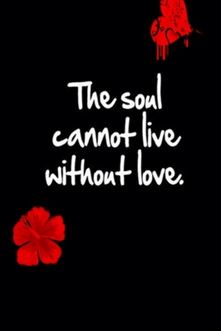 Soul Cannot Live