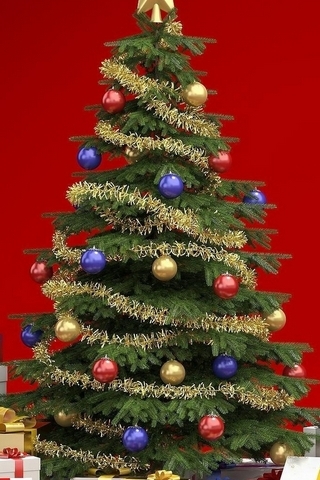 Cây thông Giáng sinh
