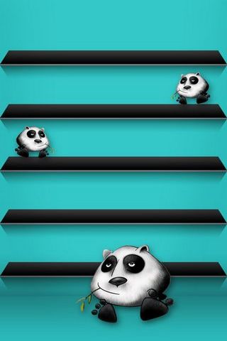 Panda Shelf