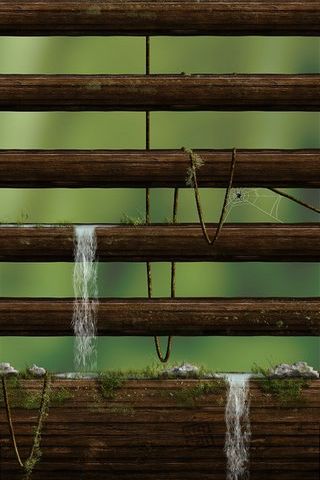 Jungle Shelf
