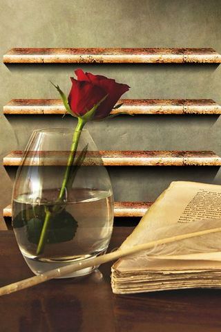 Rose And Book