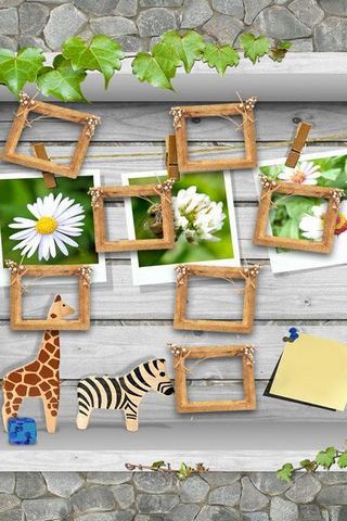 Picture Frames