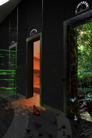 Paths of Possibility 🌿✨