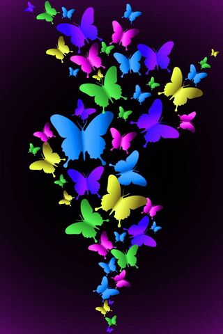 Butterflies