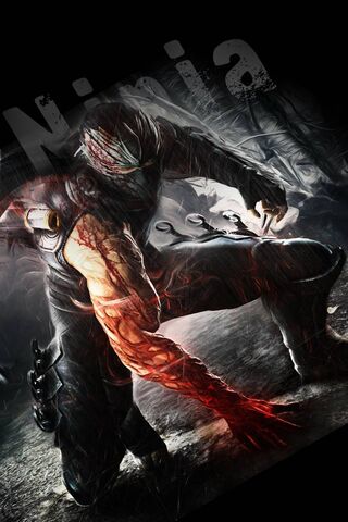 Shadow Warrior: The Art..