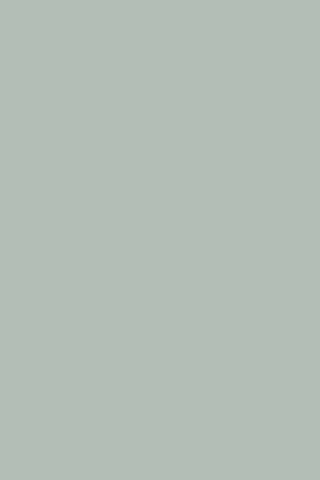 Whispers of Ash Grey 🌫️✨