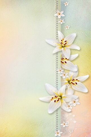 Elegance in Bloom: White Lilies