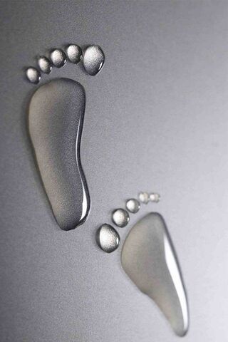 Nature's Imprint: A Journey in Water