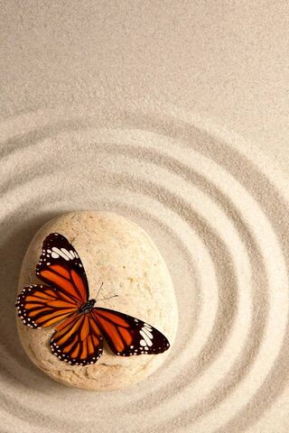 Serenity in Nature: The..