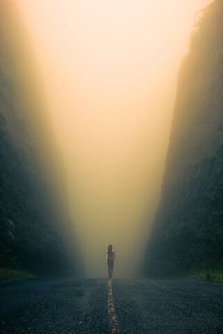 Journey Through the Mist 🌫️✨