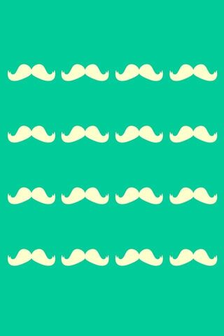 Mustache Mania: A Whimsical Display! 🎩