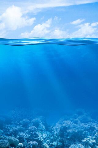 Beneath the Waves: A Co..