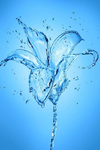 Blooming in Blue: The Aqua Flower 🌊🌸