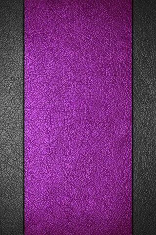 Vibrant Elegance: The Allure of Purple Black Leather