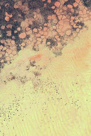 Nature's Canvas: A Tapestry of Textures 🌍✨