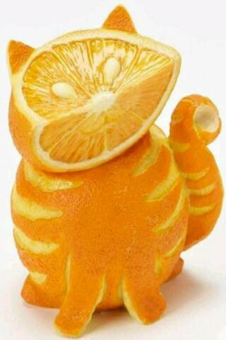 Orangene Katze