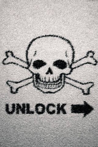 Unlocking the Danger Wi..