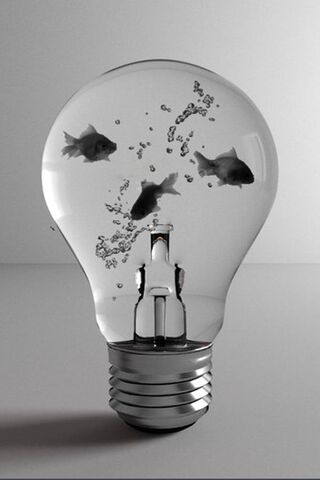 Bright Ideas: Where Dreams Swim