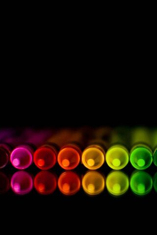 Vibrant Hues: A Symphony of Color