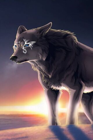 Wolf Alpha Design