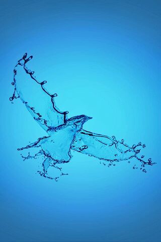 Aqua Bird: The Dance of Water