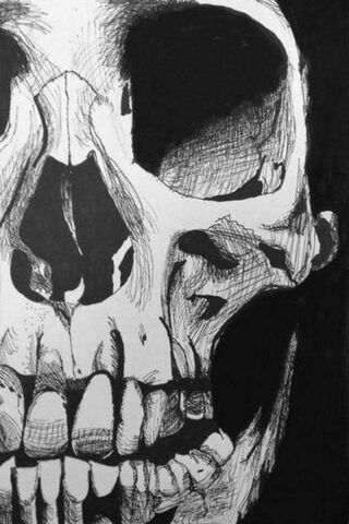 Echoes of Mortality: The Skull's Story