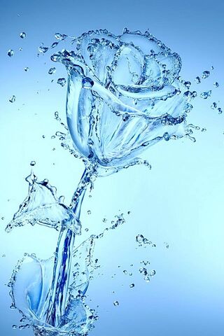 Aqua Rose: Nature's Fluid Elegance 🌊🌹