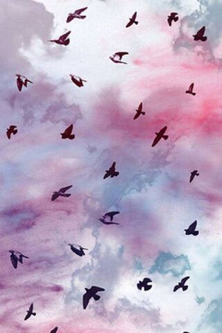 Dancing in the Sky: A S..