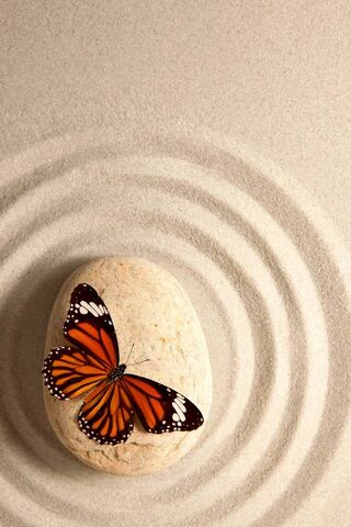 Harmony in Stillness: T..