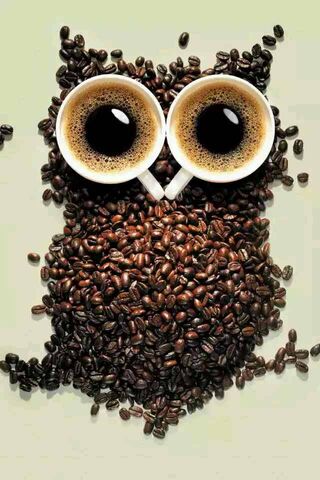 Caffeinated Wisdom: The..