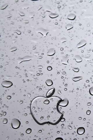 Apple Drops Wallpaper - Download to your mobile from PHONEKY