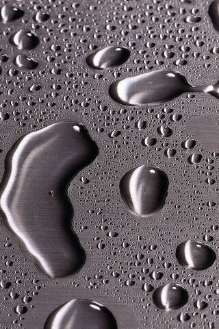 Shimmering Reflections:..