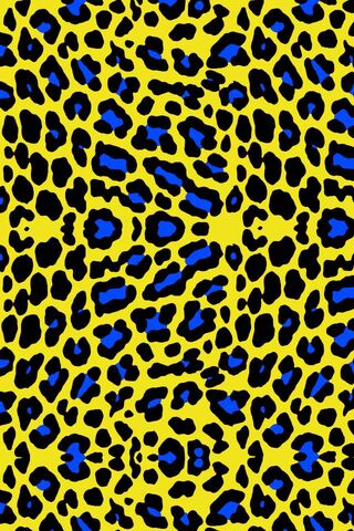 Bold and Bright: The Wi..