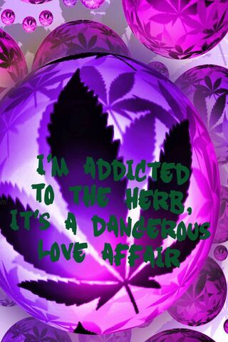 A Colorful Love for the Herb 🌿💜