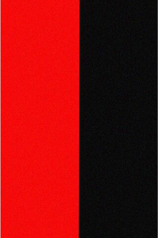 Bold Contrast: Metallic Red and Black Fusion