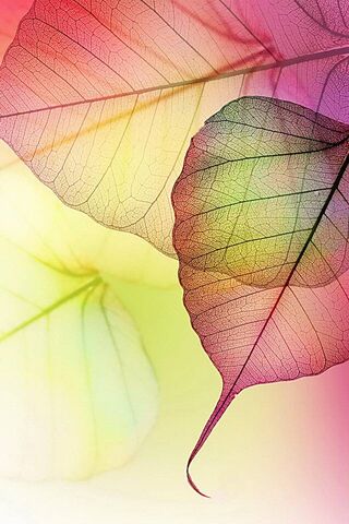Whispers of Nature: The..