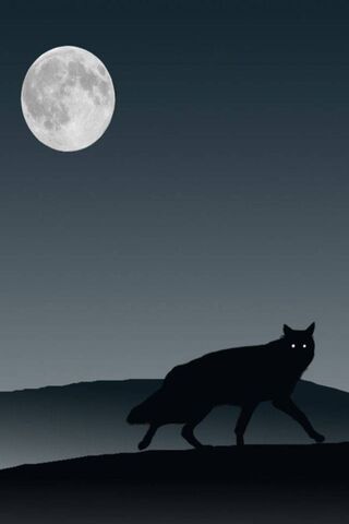 Moonlit Wanderer: The E..